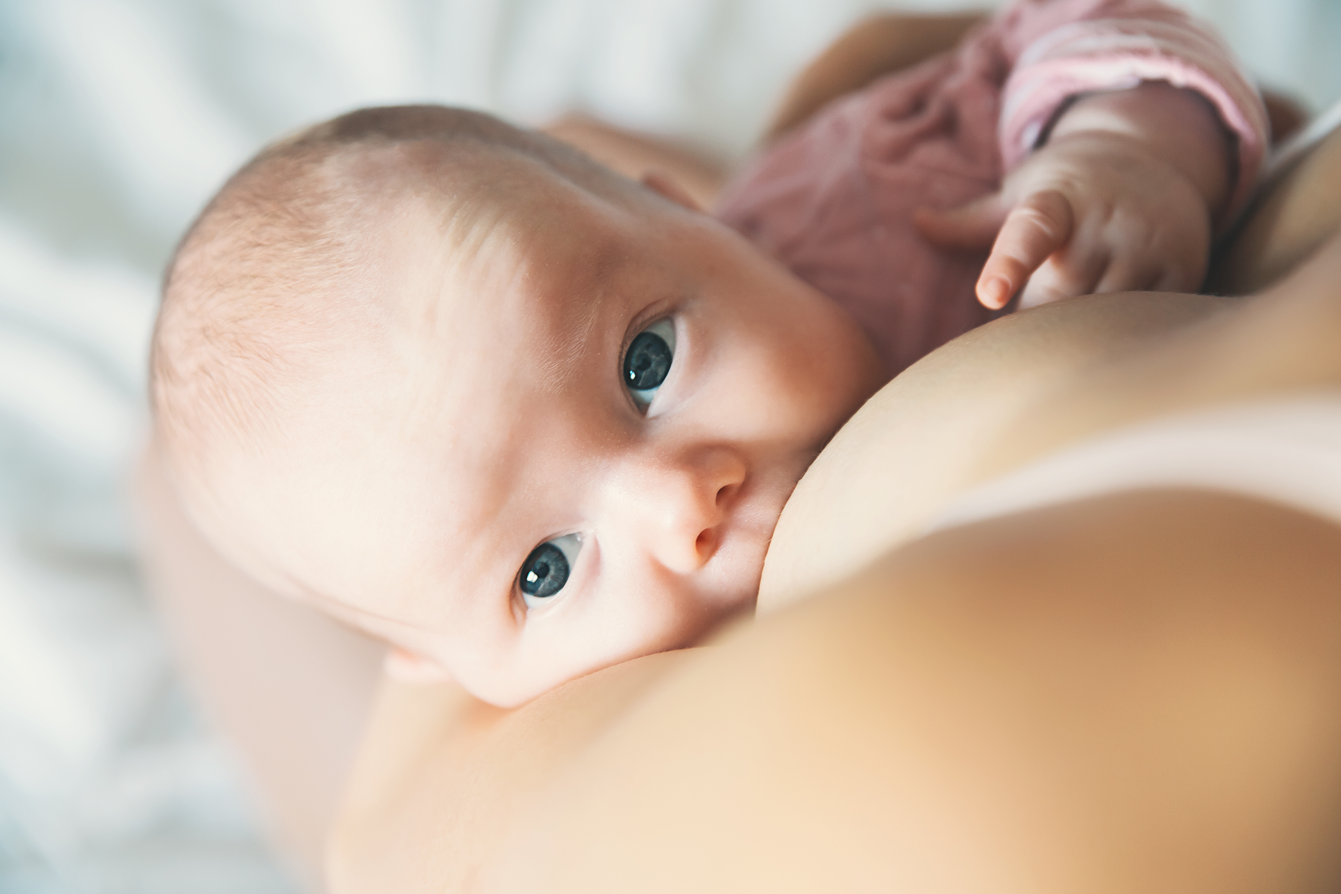 Baby eating mother's milk. Mother breastfeeding baby. Beautiful mom breast feeding her newborn child. Young woman nursing and feeding baby. Concept of lactation infant.